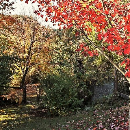 Mole Creek Guesthouse Luaran gambar