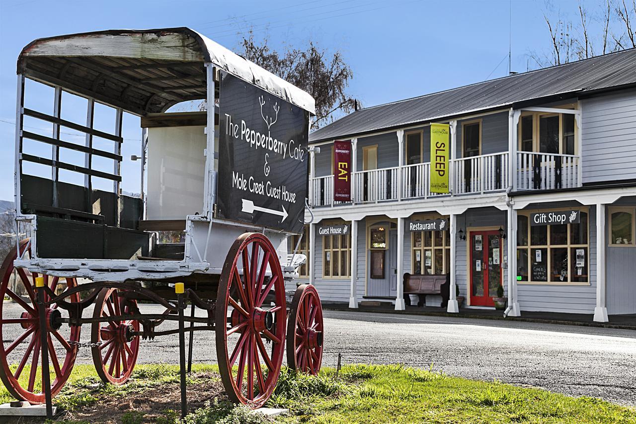 Mole Creek Guesthouse Luaran gambar