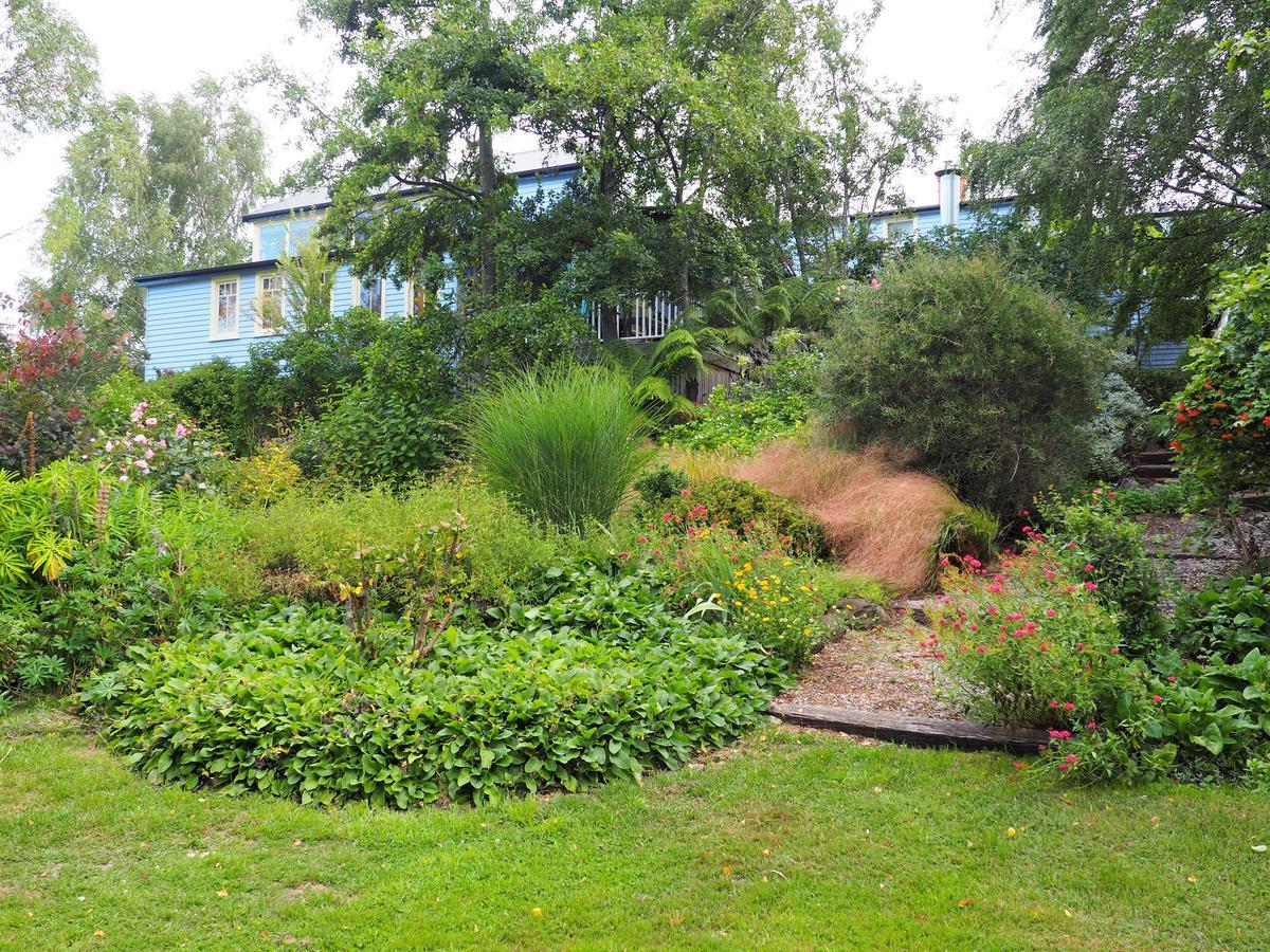Mole Creek Guesthouse Luaran gambar