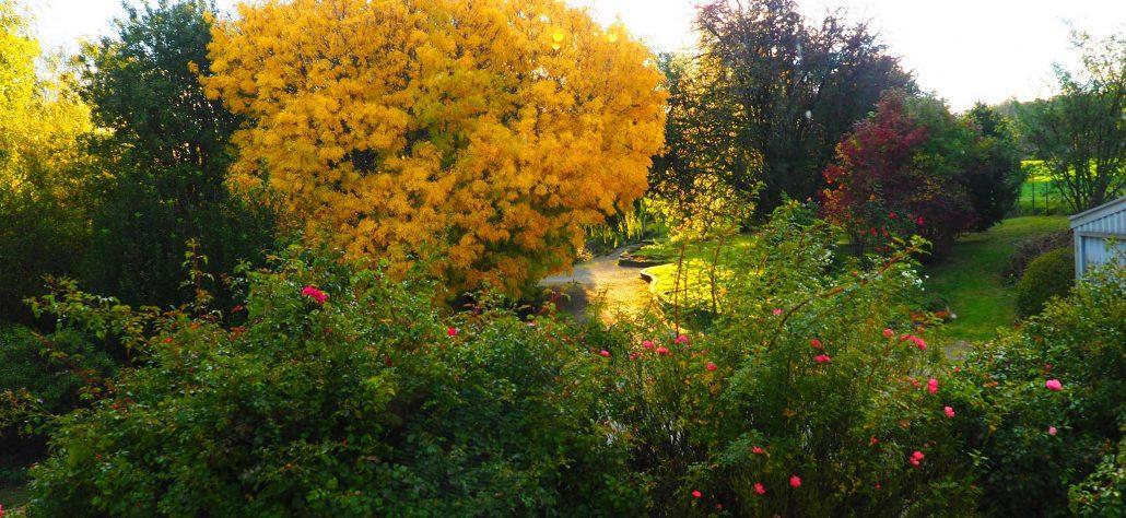 Mole Creek Guesthouse Luaran gambar