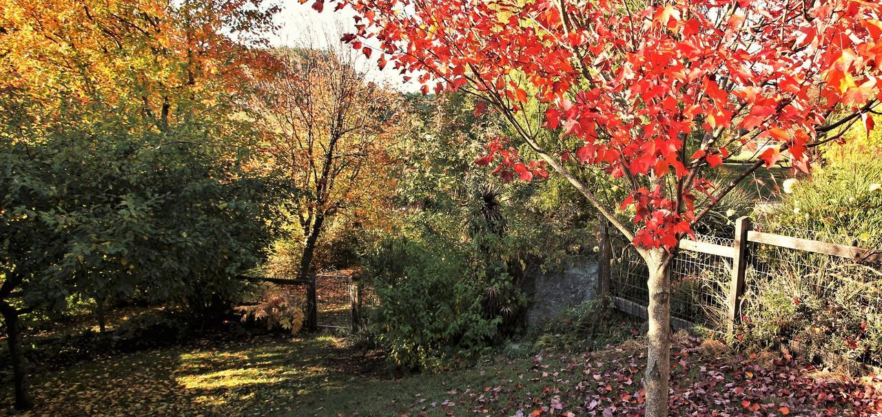Mole Creek Guesthouse Luaran gambar